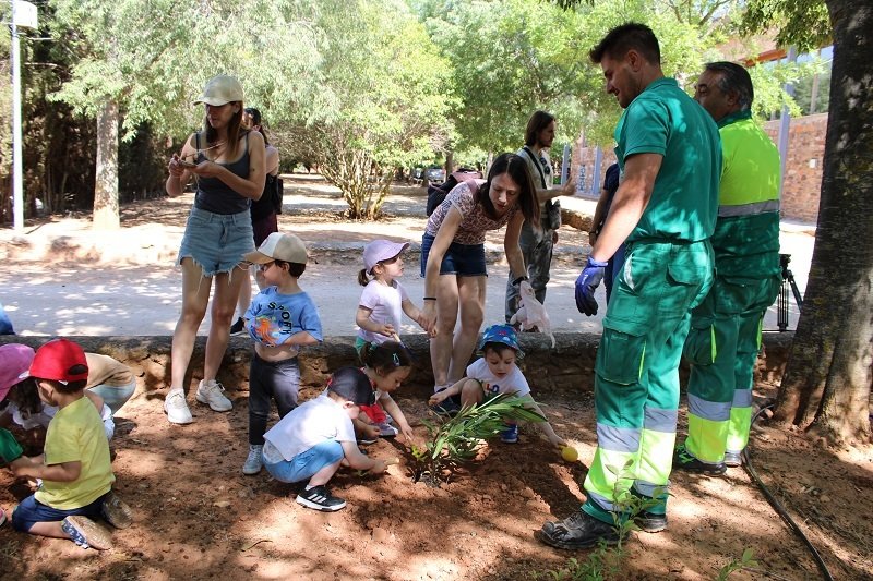 050624 VA-PLANTACION 3