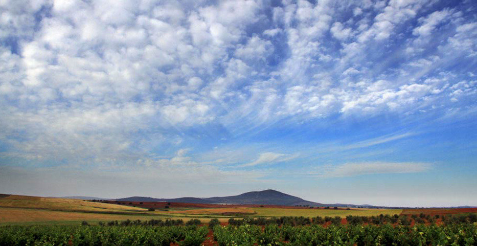 TIERRAS RARAS