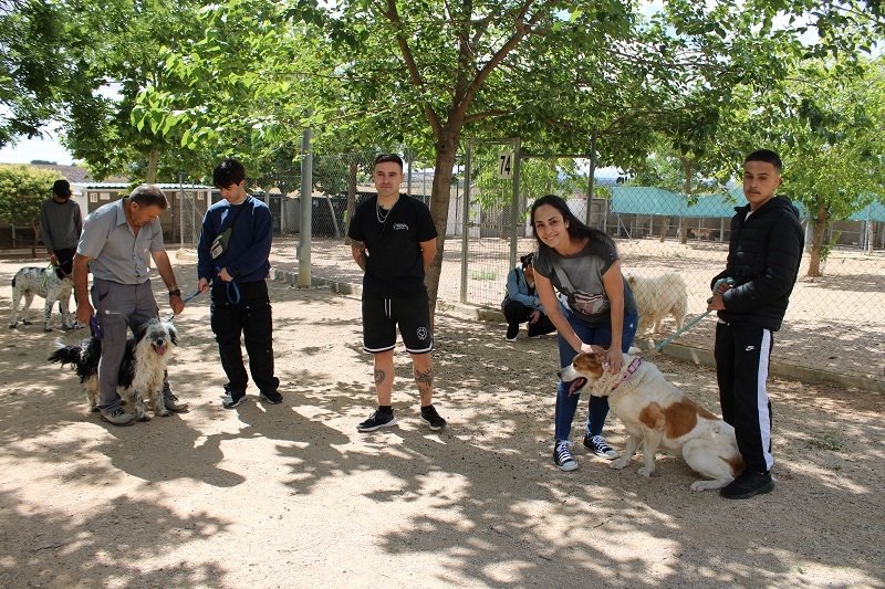 200624 VA-CENTRO CANINO 1