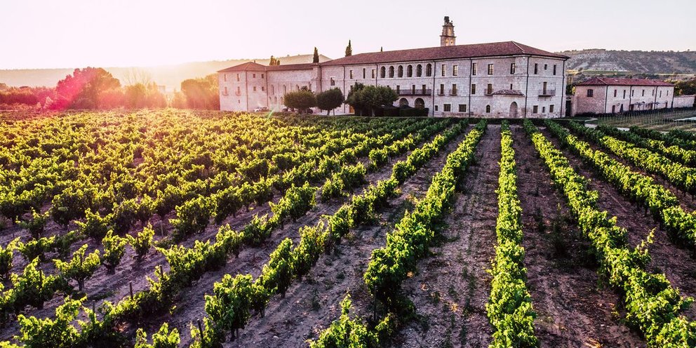 bodegas-enoturismo-vino-vendimia-1538589949