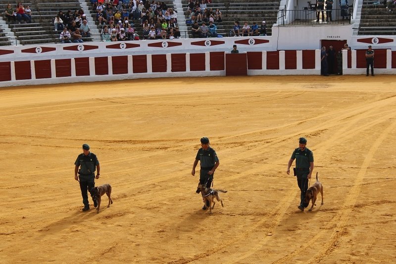 200924 VA-GUARDIA CIVIL 6