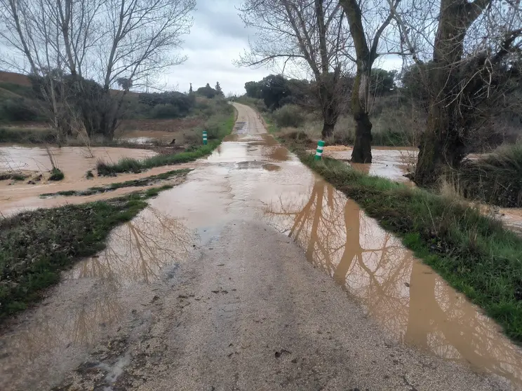 Viso bazan carretera 1